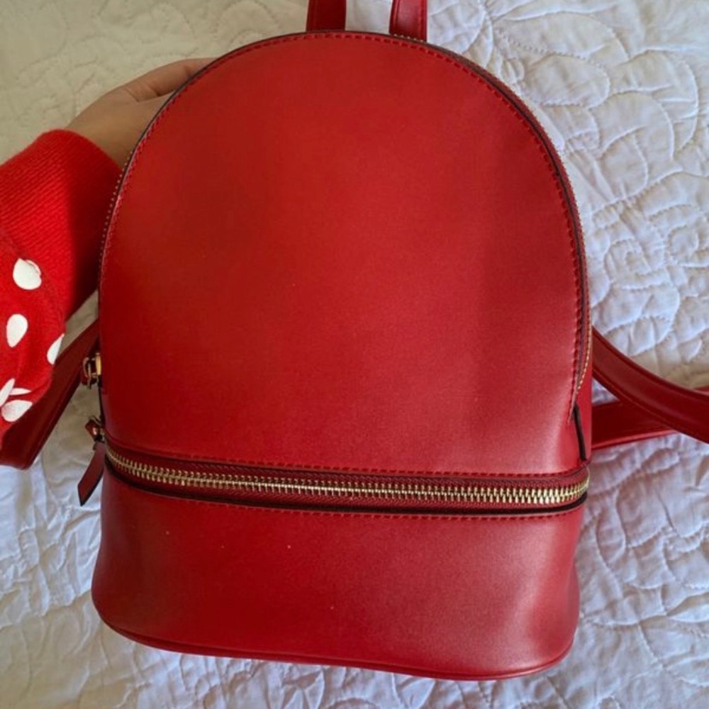 Red Backpack/Bag